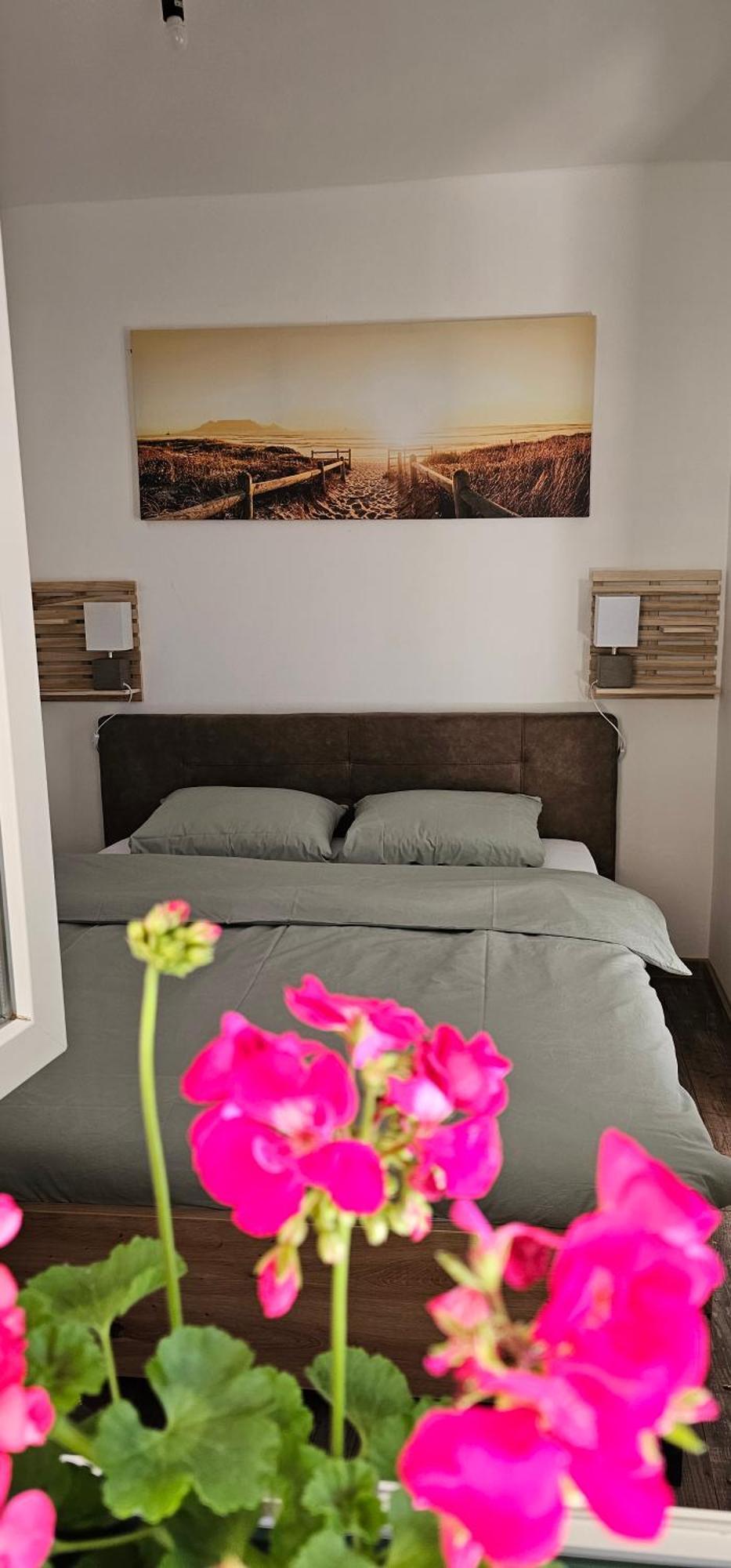 Apartman Pontica Kotor Exterior photo